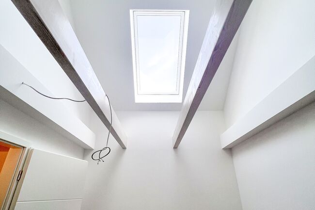 Zimmer DG