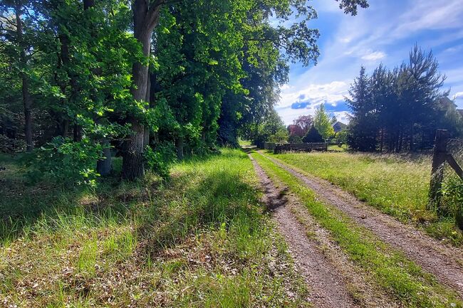 Am Waldrand