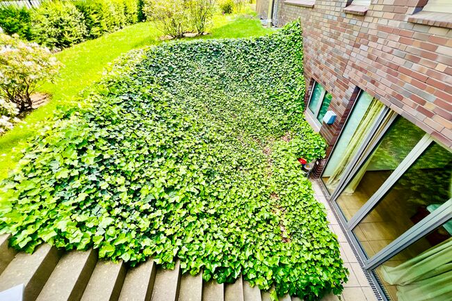 Aussentreppe zum Garten